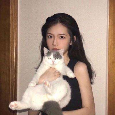 直升机杀手最新版下载